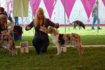 Uden 2012: 1ste place baby males.