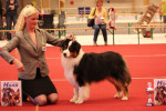 josh: oss 01-06-2013: BOB,Best in group: 8th best in show