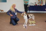 16-06-2012 Dailo's docter love,best baby male,BIS in show