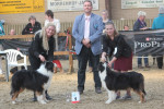 18-04-2015  Clubshow Hardenberg Aussie specialty 