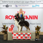 Uden  19-06-2016:Belleharbor's Stutin to X'sells 1 exc open class Best male CAC/CACIB and Best of Breed
