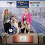 Dailo's docter love: best pup of breed,3th best pup in show.