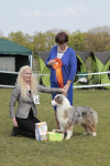 troisdorf 2016: thinking out of the box: best in show
